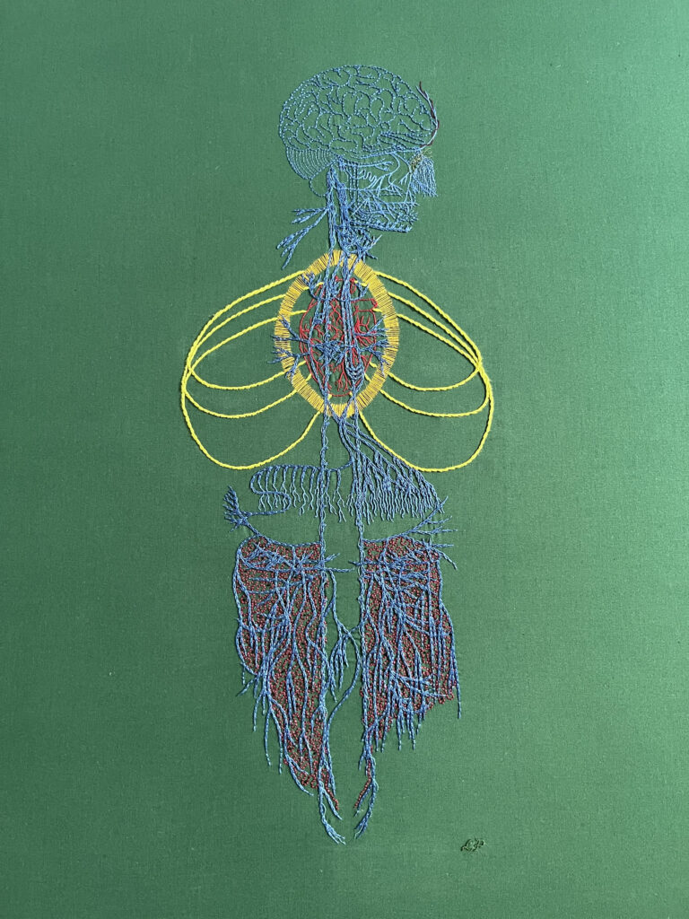 An image of an old engraving of a vagus nerve is embroidered on green cotton. The gut is in a large bamboo embroidery hoop. The embroidery of the main nerve lines is done in blue chain stitch in perlé cotton. The brain and some of the face is stitched in the same thread in backstitch. Details in the face are stitched in single strand floss. A bright red anatomical heart is stitched in red whipped back stitch. Around it a bright golden yellow halo in a vesica piscis shape is stitched in single strand thread. Three sets of ribs have are stitched in bright green/yellow stem stitch. There are some tiny details in different colours along some of the nerves. Burgundy roiling with sparse tiny black French knots are stitched in the gut area. The nerve endings in the diaphragm area are lengthened with one and two strand whipped back stitch. Lia’s initials are stitched in green thread in the bottom right.