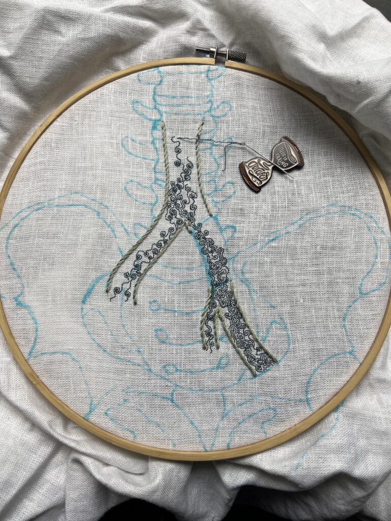 A pelvis, lumbar vertebrae, and part of the iliac vein are sketched in blue marker on white linen. Most of the iliac vein is outlined in grey-green stem stitch. A section on the left branch has been left blank. Some intricate turbulence is being stitched in single strand dark aquamarine backstitch within the iliac vein. An hourglass shaped needle minder reading, “this is taking forever” holds the needle. 