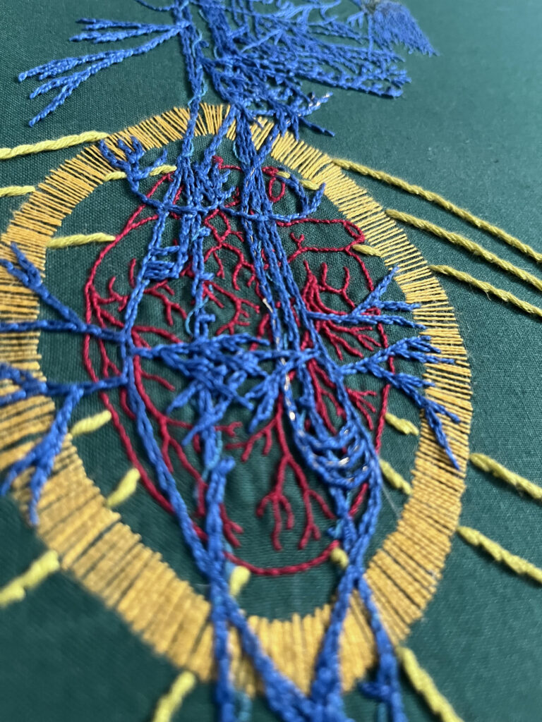 The upper chest area of a vagus nerve stitched in blue chain stitch on green cotton. An anatomical heart is stitched in two and one strand red whipped back stitch. Around it a bright golden yellow halo in a vesica piscis shape is stitched in single strand thread. From behind the heart emanate bright green/yellow stem stitch curved lines. The angle of the camera is tilted to show the gold thread woven into the recurrent laryngeal nerve.