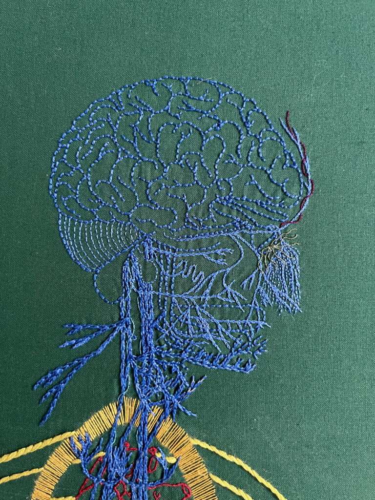 An embroidery of a head and neck stitched in blue thread on green cloth. The brain is stitched in back stitch and the vagus nerves in the neck are stitched in chain stitch in perlé thread. The facial nerves are stitched in single strand chain stitch and back stitch. A thin dark purple line entwines the nerve on the forehead and some curved light green lines emanate from the eye.