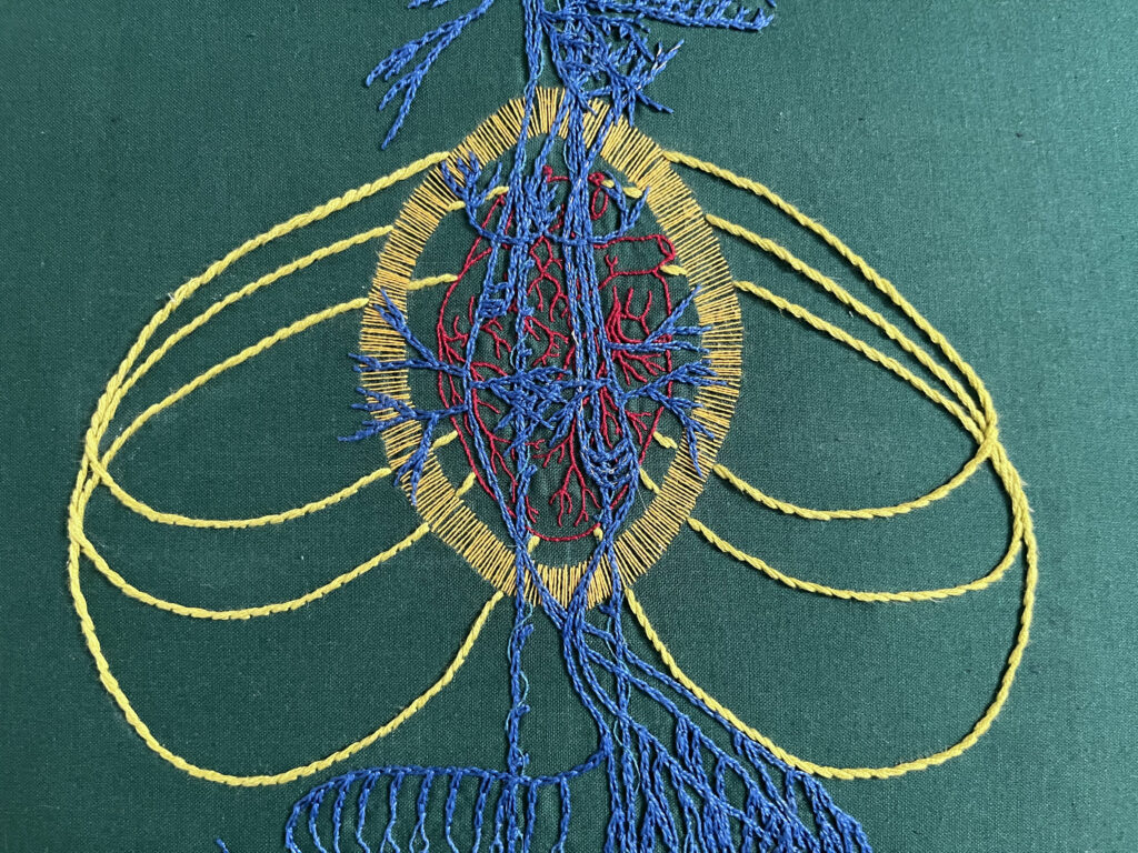 The upper chest area of a vagus nerve stitched in blue chain stitch on green cotton. An anatomical heart is stitched in two and one strand red whipped back stitch. Around it a bright golden yellow halo in a vesica piscis shape is stitched in single strand thread. From behind the heart emanate bright green/yellow stem stitch curved lines. 