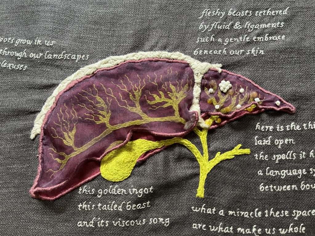 A close up of the entire liver with only some of the text visible around it. 