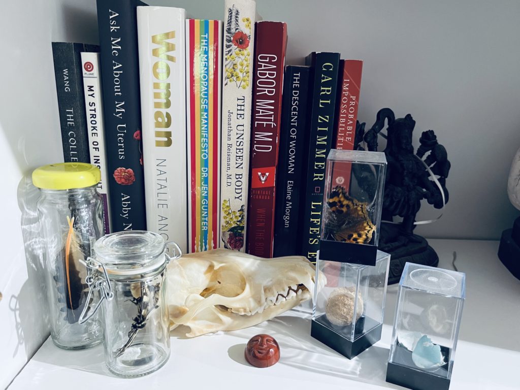 A white bookshelf with some science books on it. In front of the books are small plastic display containers and a couple glass jars containing butterflies, bird feathers, a wasp’s nest, and a broken robin’s egg. A fox skull and a red stone with a face carved into it sit between the containers. 