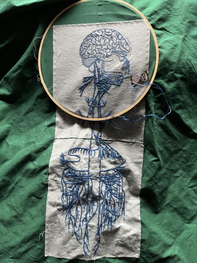 An image of an old engraving of a vagus nerve is printed on sulky material and basted to green cotton. The head and neck are in a medium sized wooden embroidery hoop. All the embroidery of the main nerve lines has been done in blue chain stitch in perlé cotton. The brain and some of the face is stitched in the same thread in backstitch. Some details are stitched in single strand floss. A needle minder in the shape of an hourglass that reads, "This is taking forever," sits near the stitches holding a needle.
