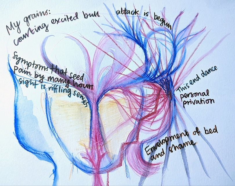 A swooping colourful illustration in purples, blues, and yellows showing the back of a head with cursive text written around it. The text reads: My grains: courting excited bull. Attack is begun. Symptoms that seed pain by moving hairs. Sight is riffling senses. This end dance. Personal privation. Envelopment of bed and shame.