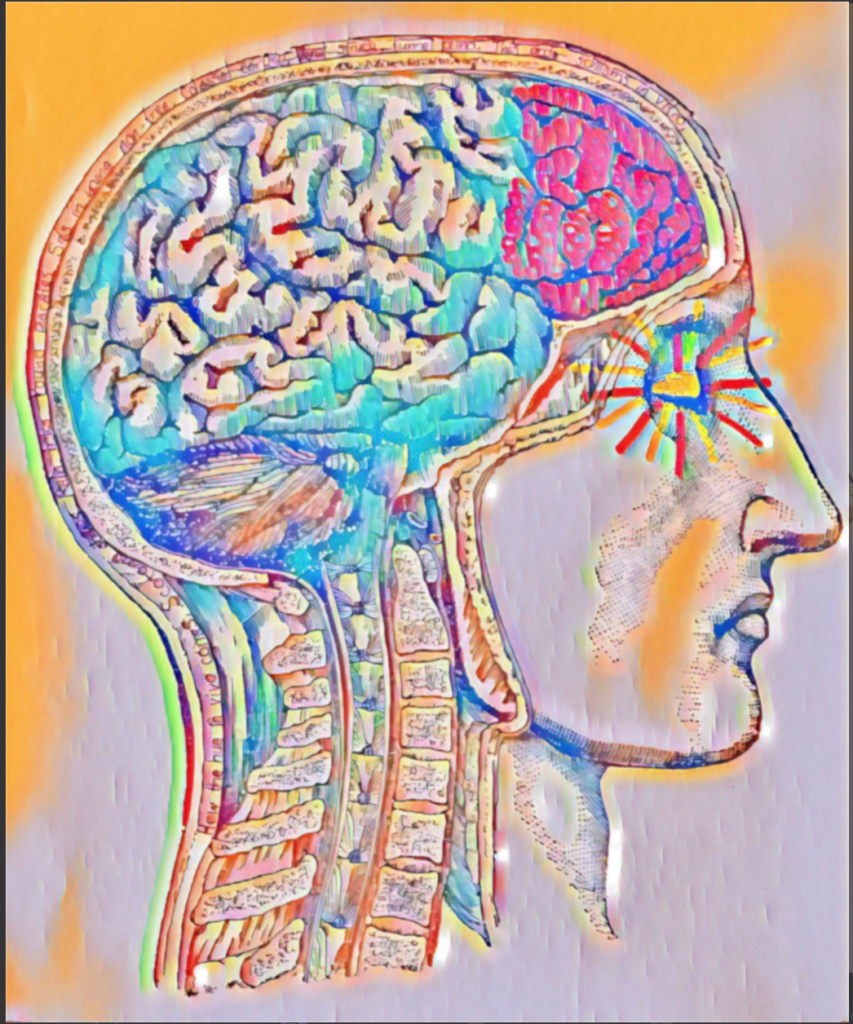 An anatomical drawing of a human head and brain in bright colours. The frontal lobe glows hot pink, and coloured lines radiate from the eye. A poem has been written in the margin of the epidermis. 