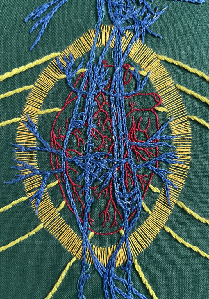 The upper chest area of a vagus nerve stitched in blue chain stitch on green cotton. An anatomical heart is stitched in two and one strand red whipped back stitch. Around it a bright golden yellow halo in a vesica piscis shape is stitched in single strand thread. From behind the heart emanate bright green/yellow stem stitch curved lines. 