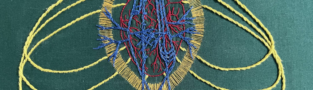 The upper chest area of a vagus nerve stitched in blue chain stitch on green cotton. An anatomical heart is stitched in two and one strand red whipped back stitch. Around it a bright golden yellow halo in a vesica piscis shape is stitched in single strand thread. From behind the heart emanate bright green/yellow stem stitch curved lines.